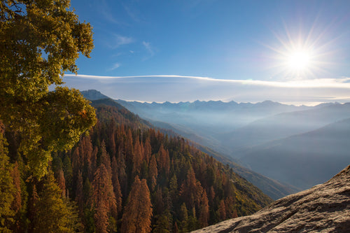 Sequoia National Park