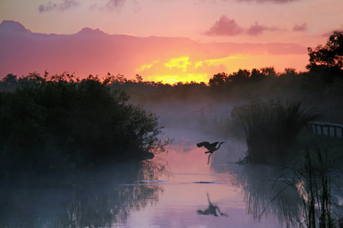 Everglades National Park