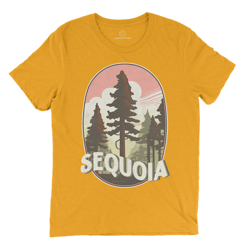 Sequoia T-Shirt - Pastels